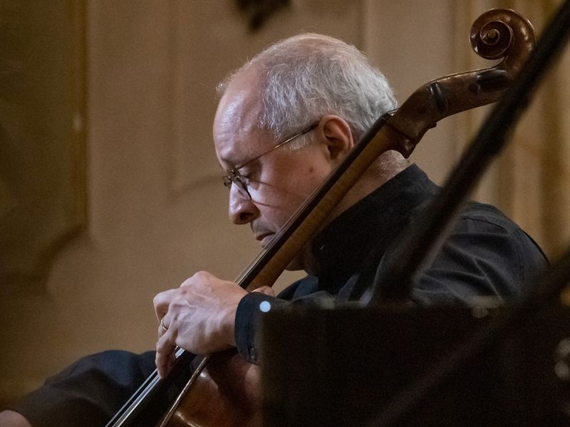 Read more about the article Cello GERINGAS