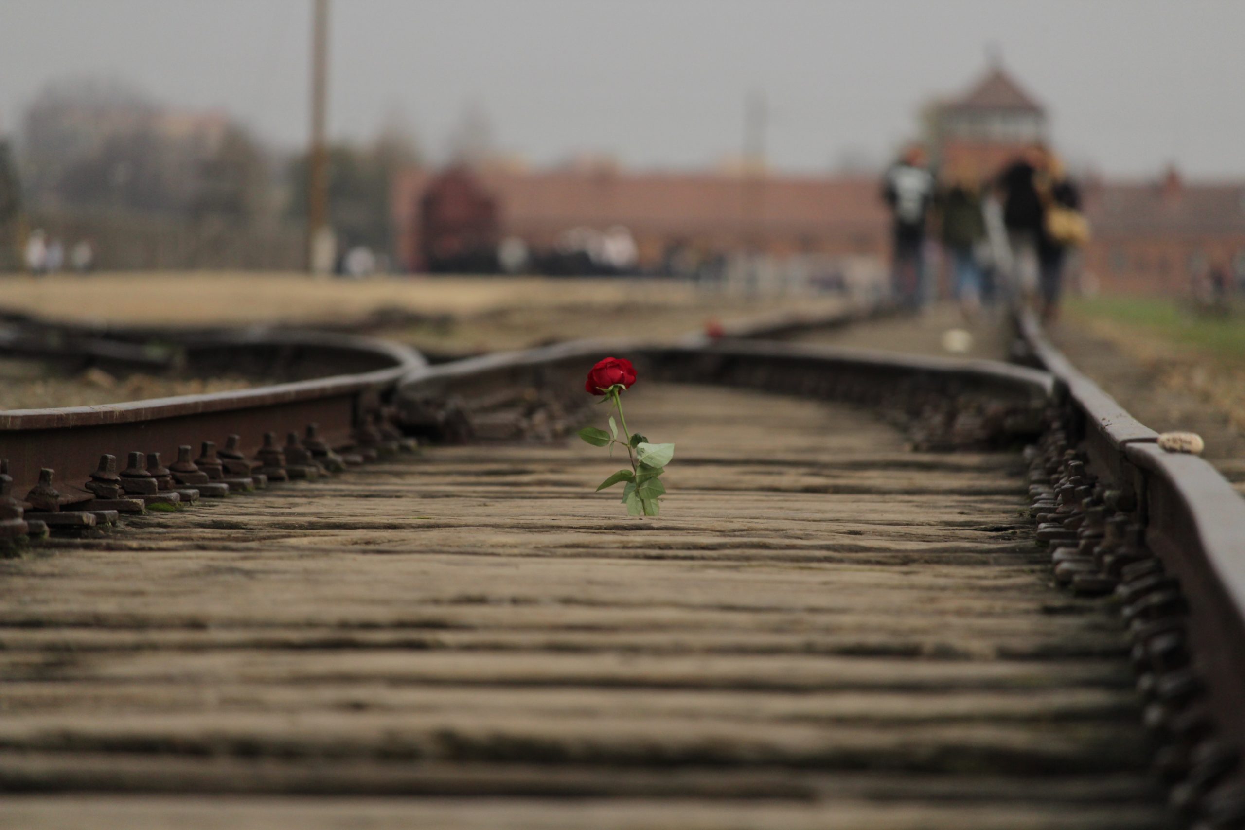 Read more about the article GIORNO DELLA MEMORIA 2023